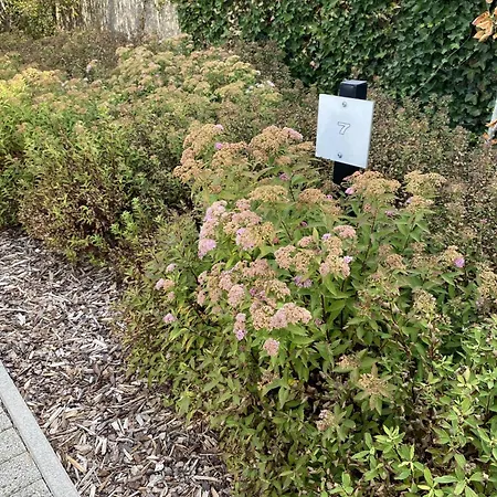 Duinengolf H7 * Koksijde